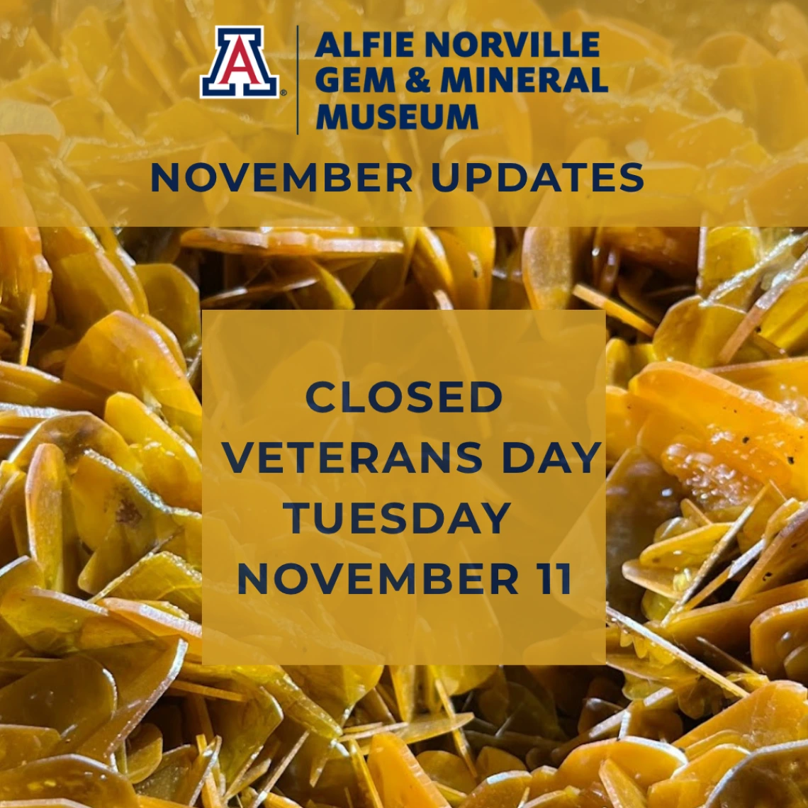 The museum is closed on Tuesday November 11th in observation of Veterans Day.